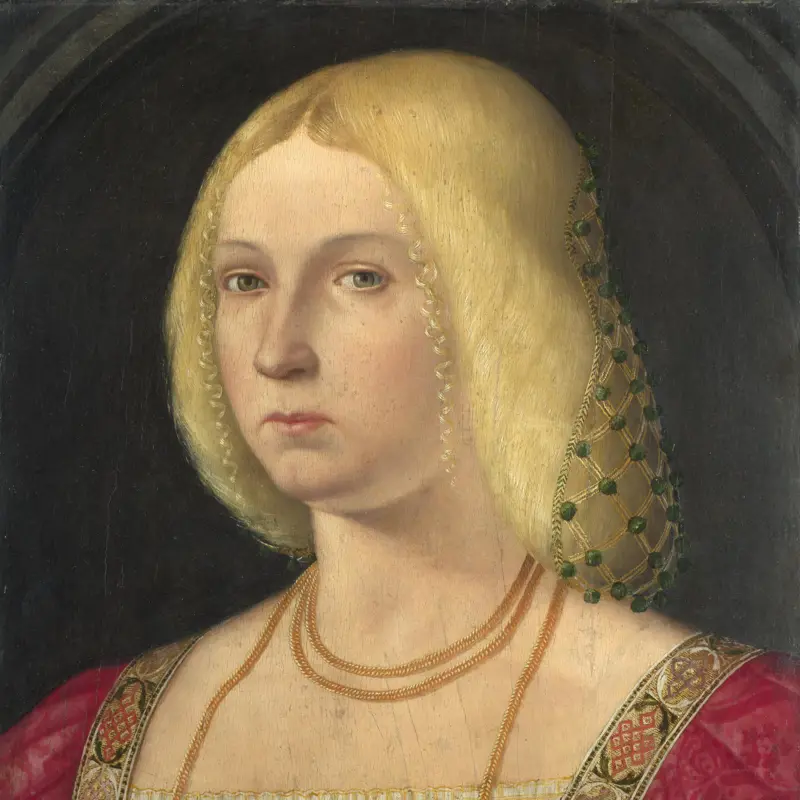 Portrait of a Lady