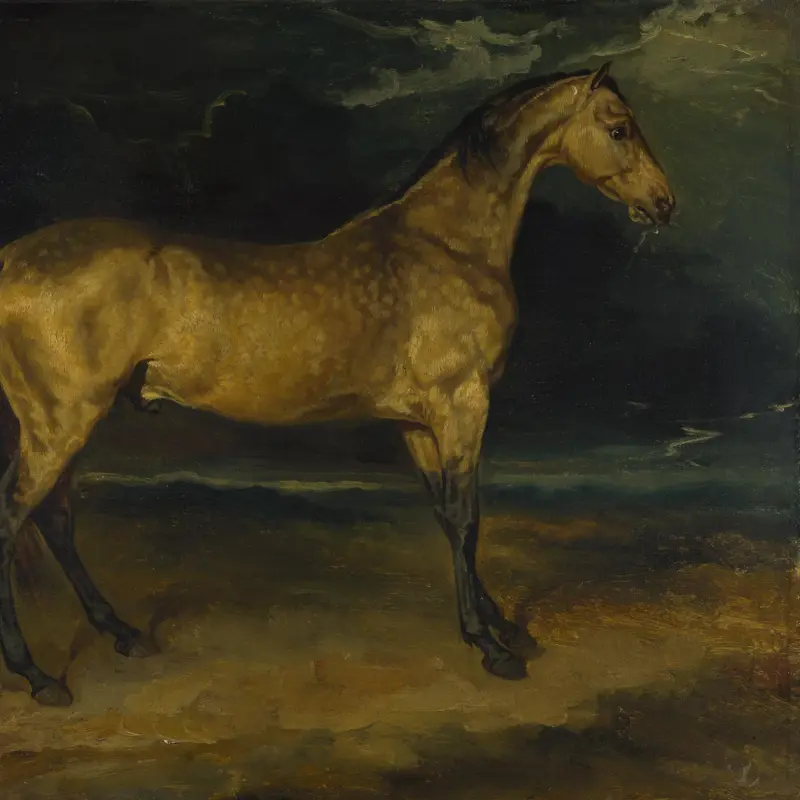 A Horse frightened by Lightning