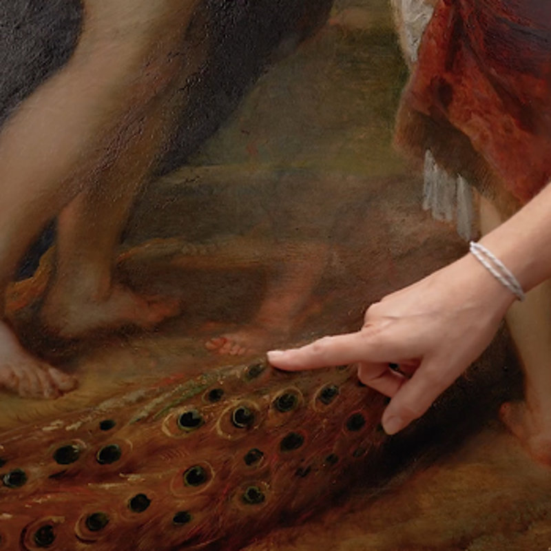 Behind the scenes in Conservation